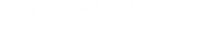 Inteldata Logo